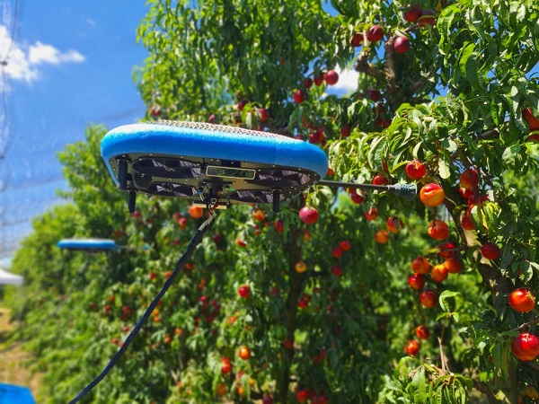 Challenges to Sustainability: How Manufacturers Can Build Greener, More Efficient Industrial Operations